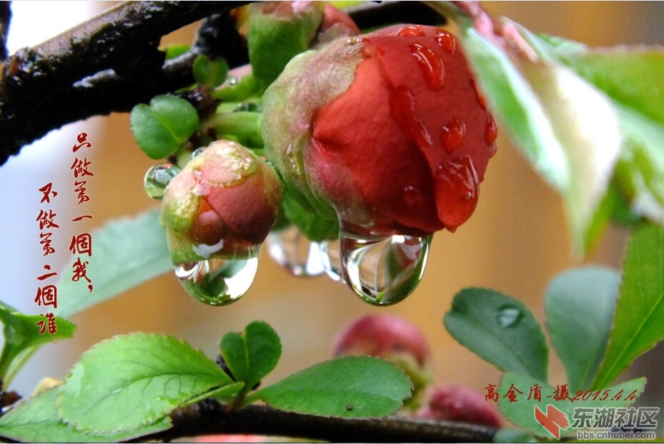 20150408201357.jpg