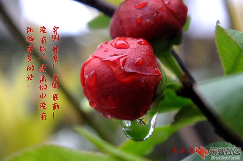 20150408201411.jpg