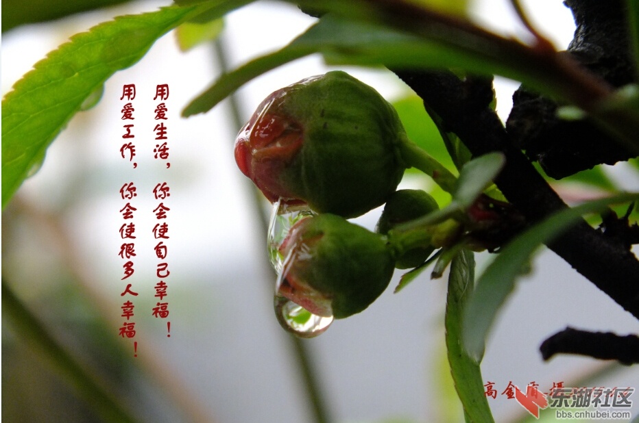 20150408201423.jpg