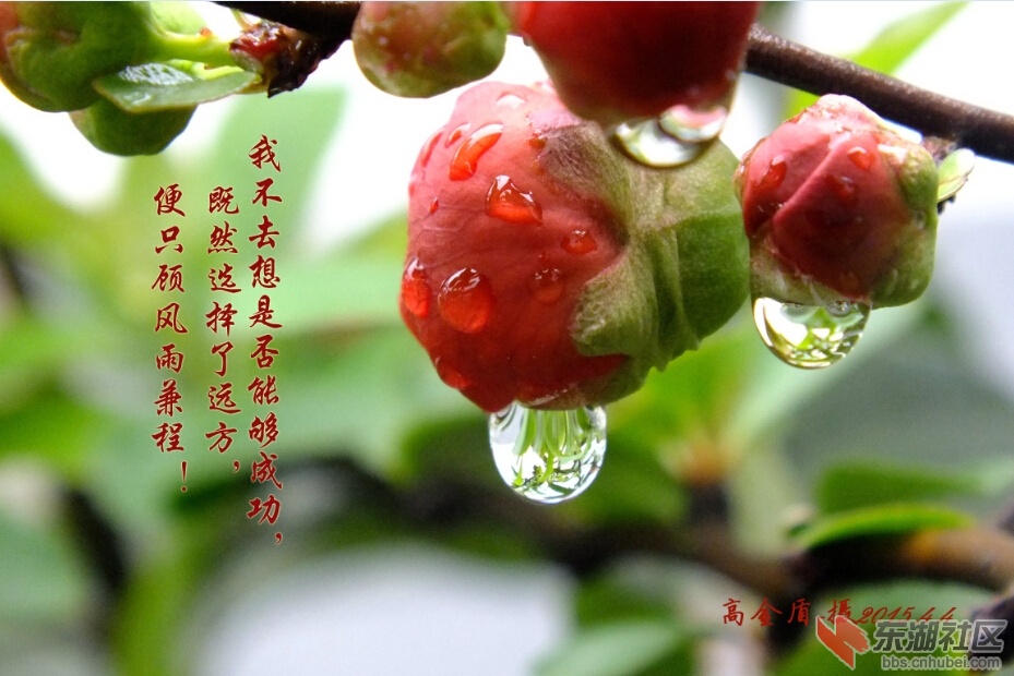 20150408201435.jpg