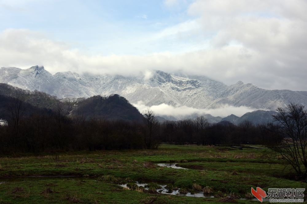 DSC_1209.jpg