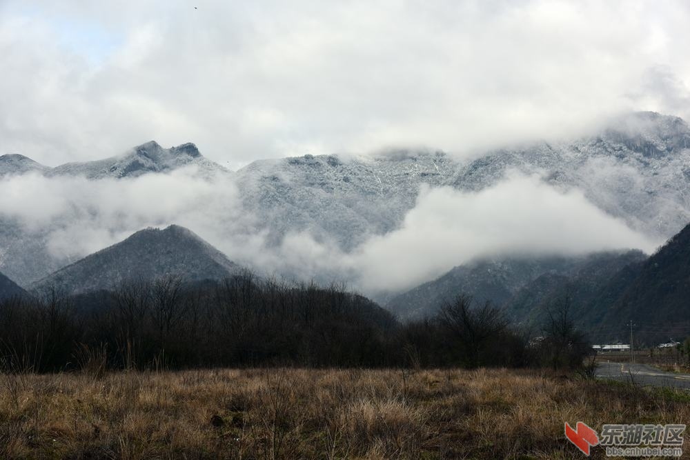 DSC_1228.jpg