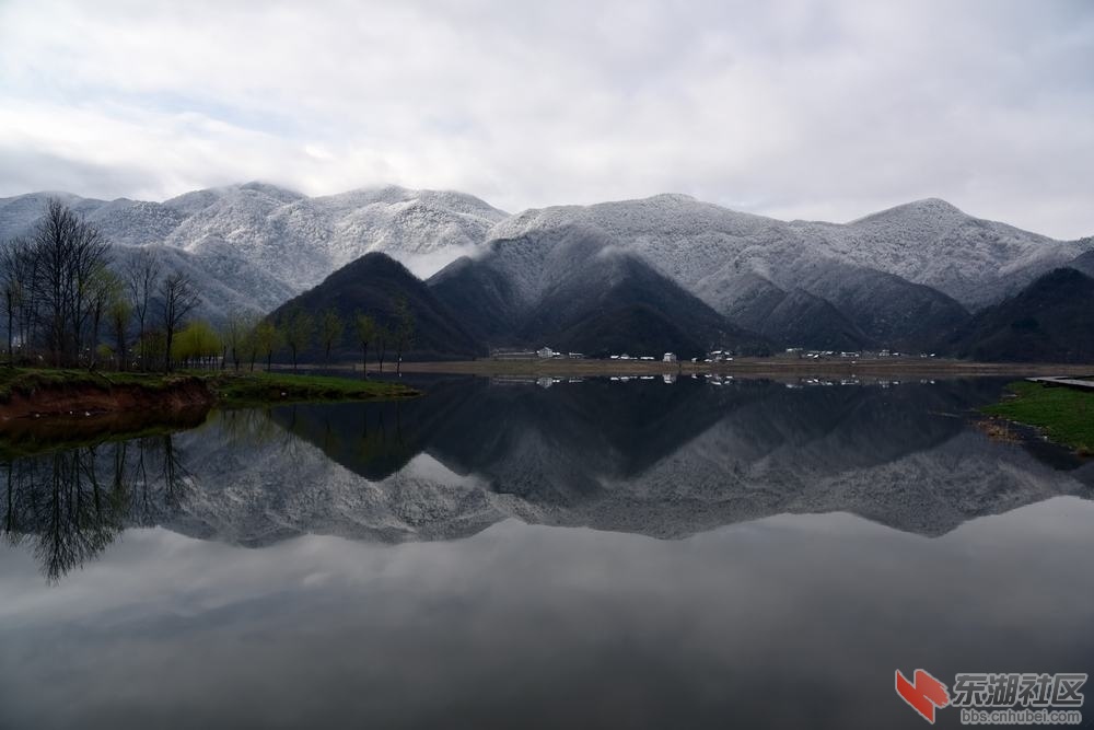 DSC_1229.jpg