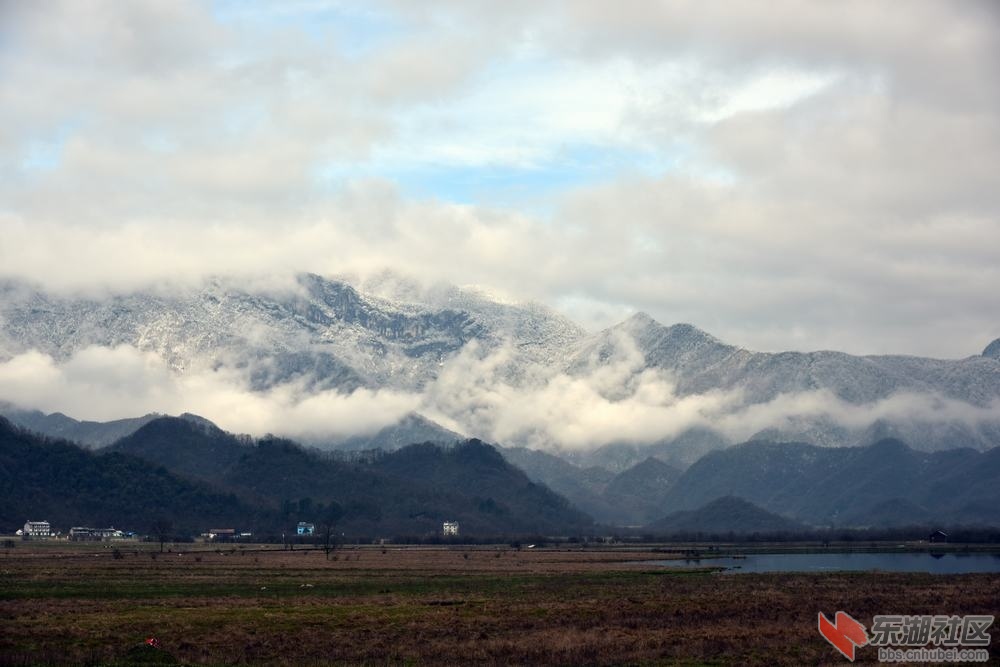 DSC_1230.jpg