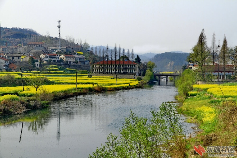 _MG_1300_1.jpg