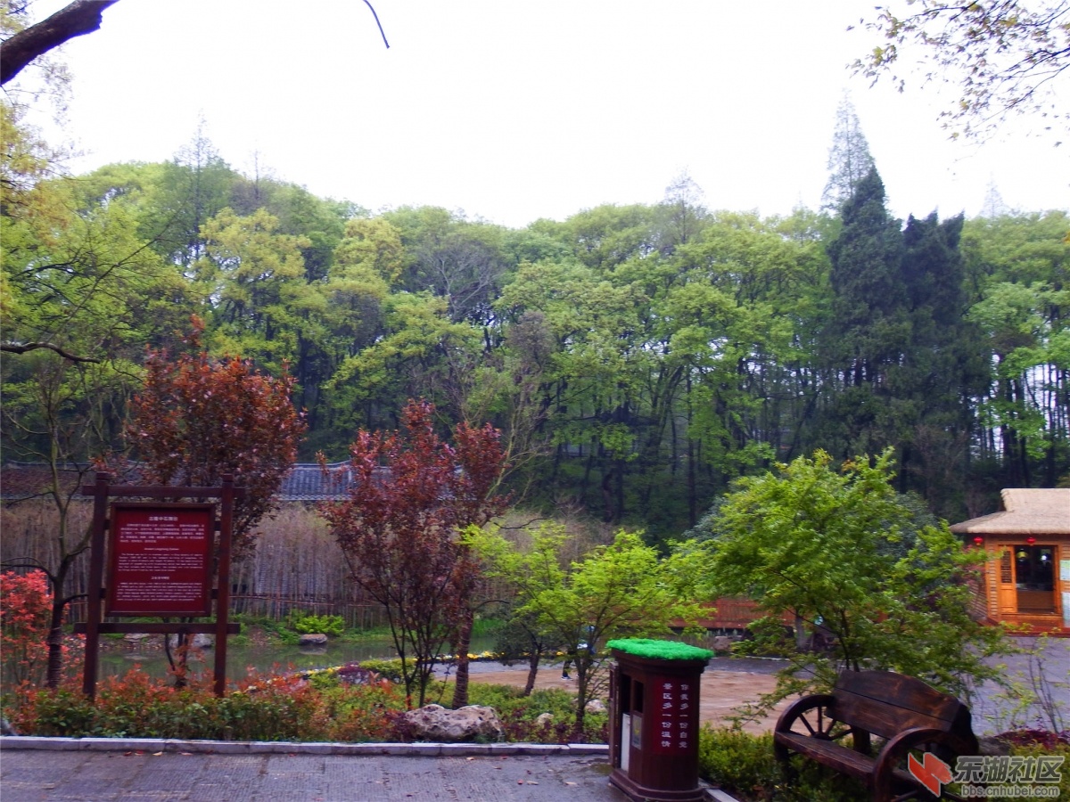 DSCF3866_副本.jpg