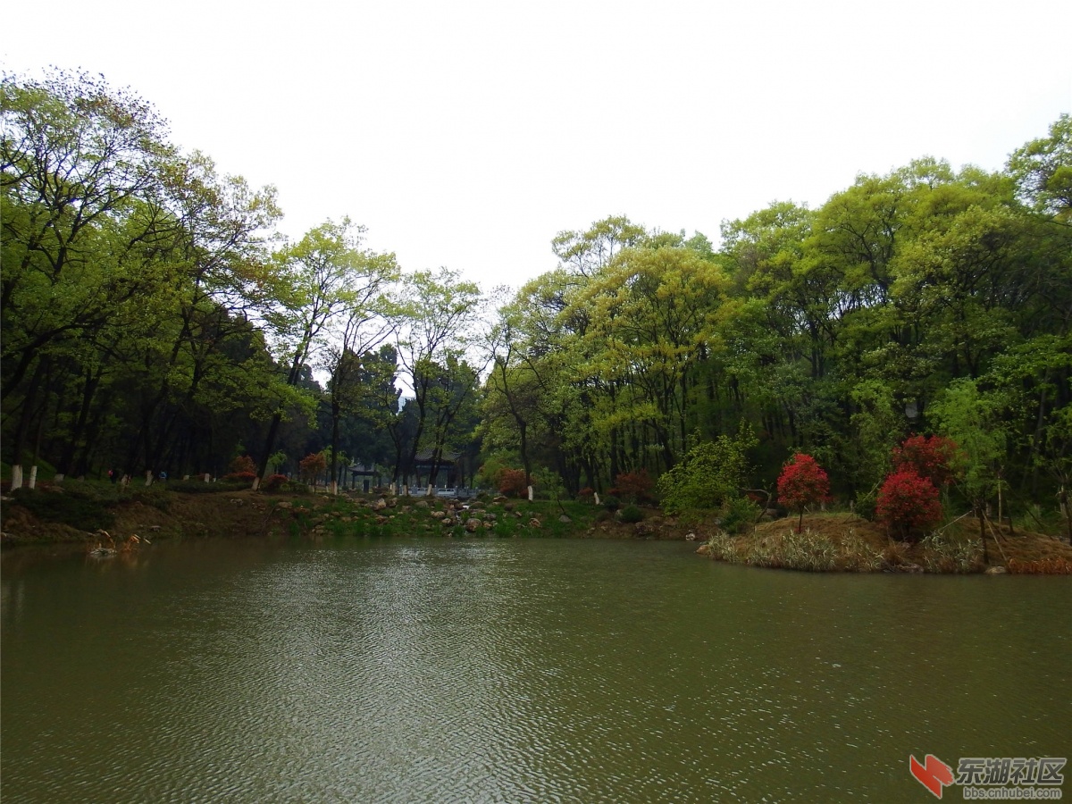 DSCF3887_副本.jpg