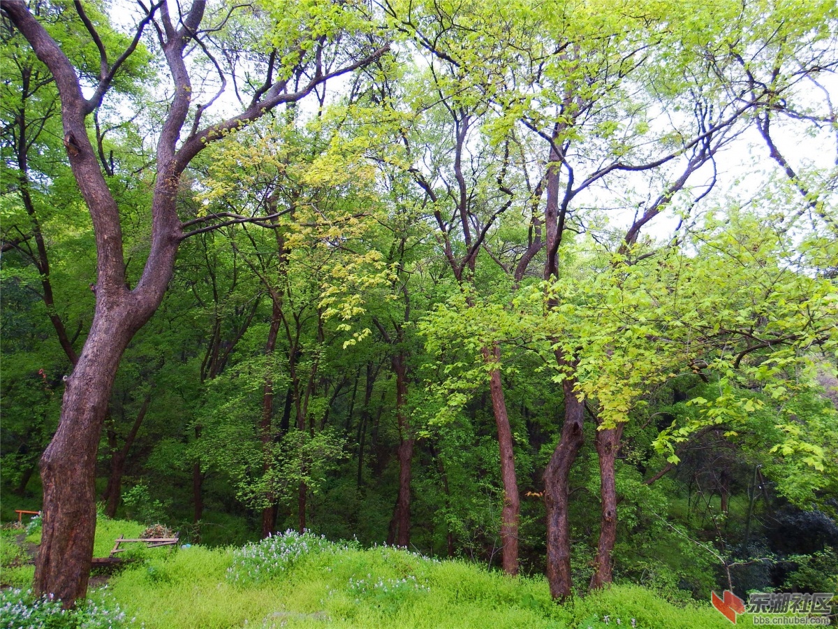 DSCF3891_副本_副本.jpg