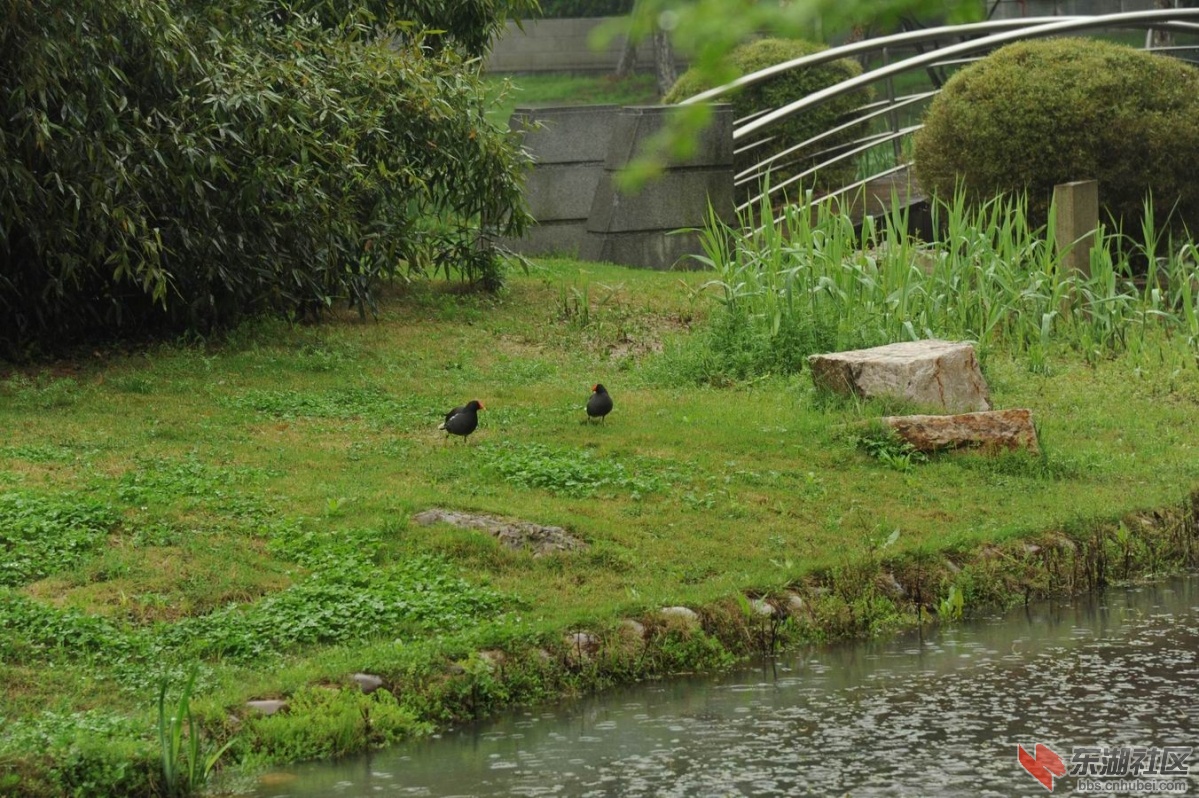 调整大小 DSC_4138.jpg