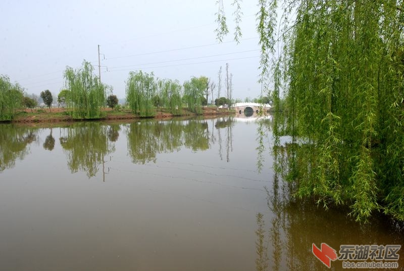 DSC_0657_副本.jpg