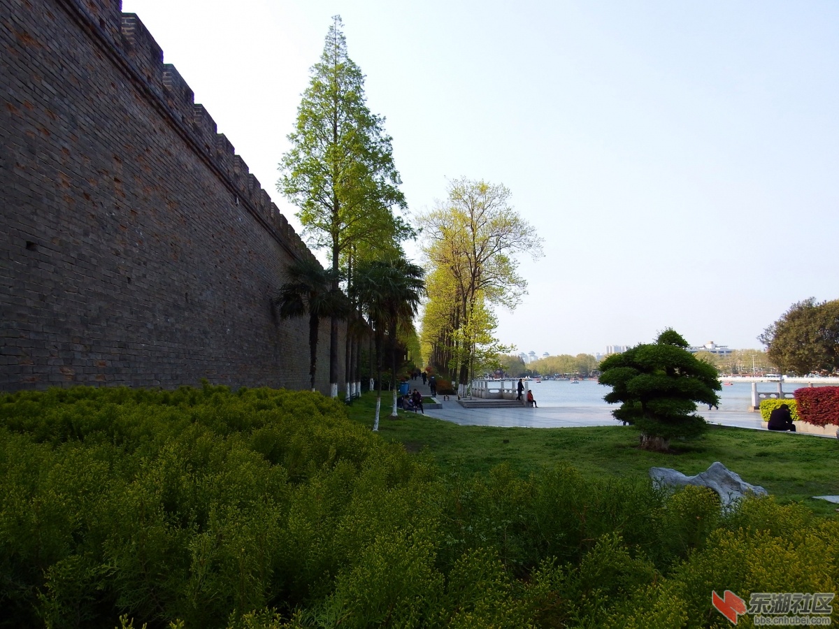 DSCF3968_副本.jpg