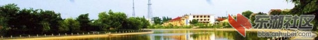 2009513203913348.jpg