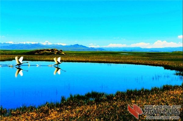 新疆美景01.jpg