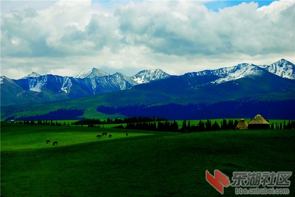新疆美景08.jpg