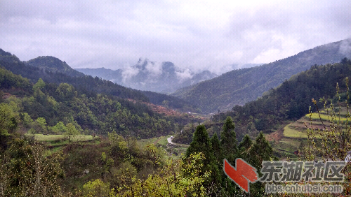 IMG_20150405_144958_HDR.jpg
