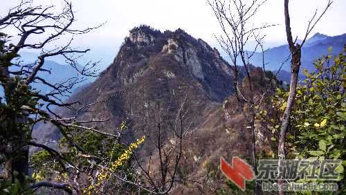 IMG_20150402_161546_HDR.jpg
