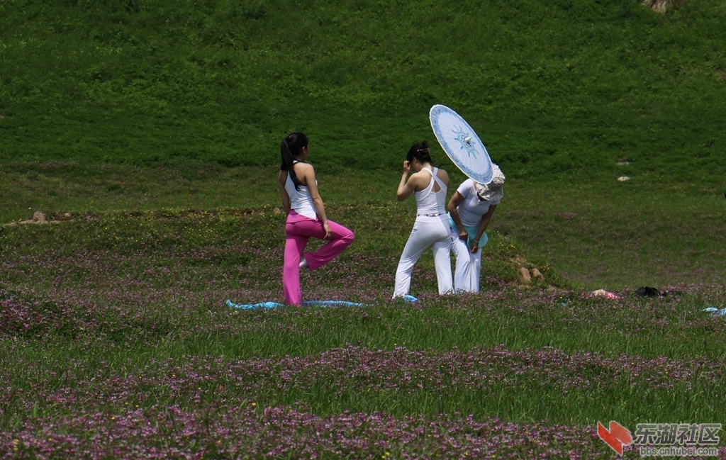 06.jpg