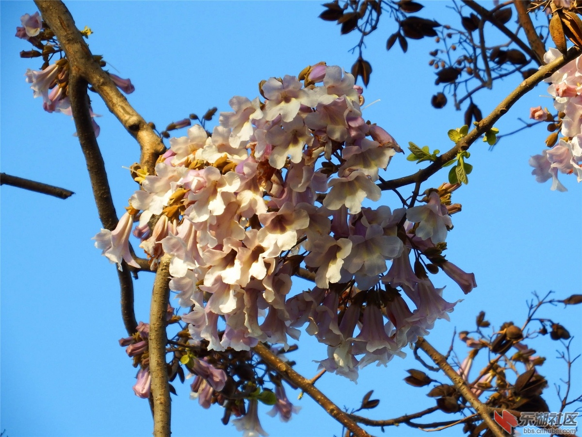 DSCF4678_副本.jpg