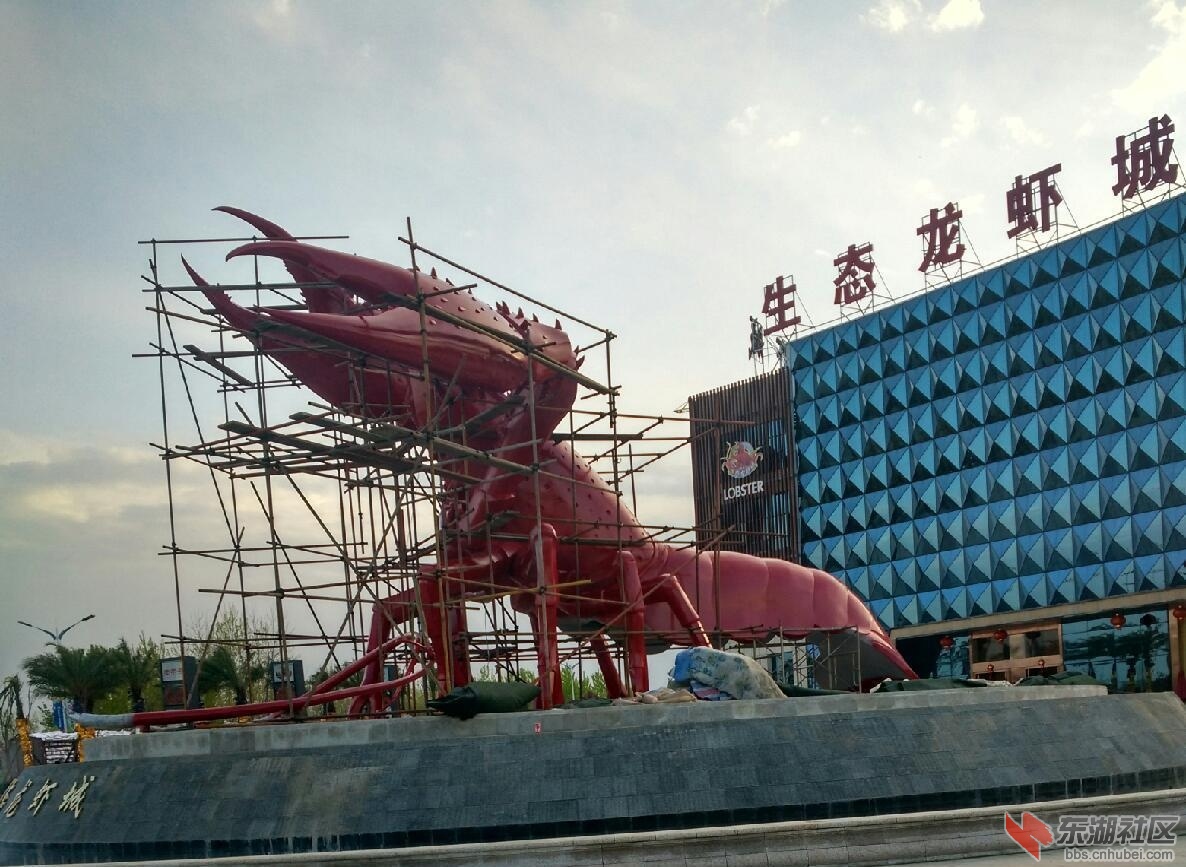 龙虾红.JPG