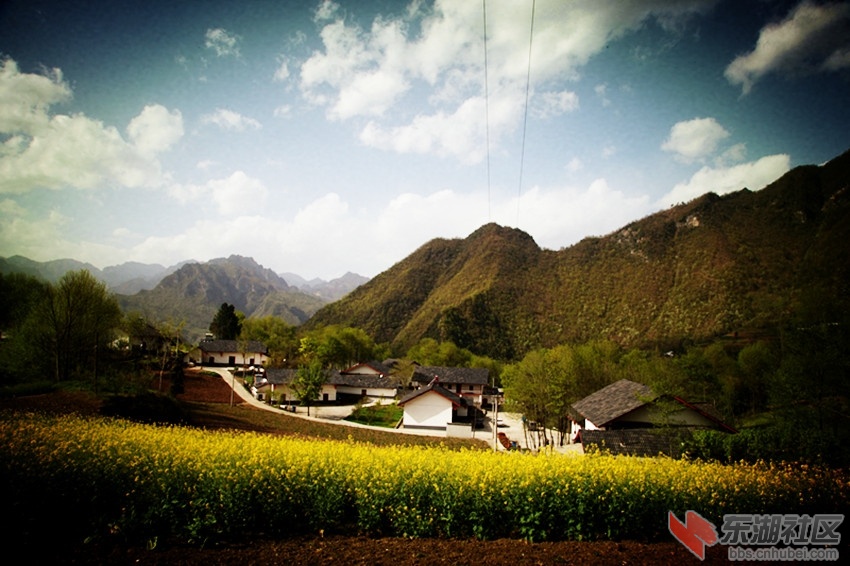 IMG_2872_副本.jpg