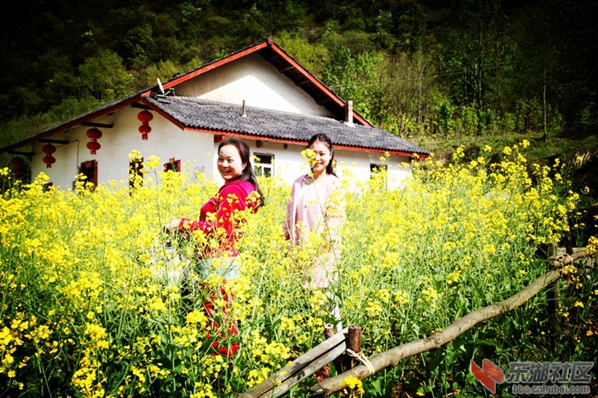 IMG_2817_副本.jpg