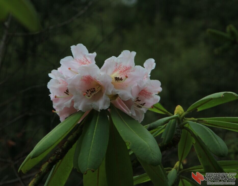 QQ图片20150412003436.jpg