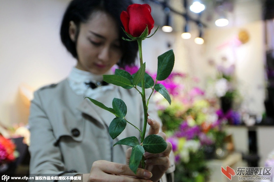 Img7666767_n.jpg