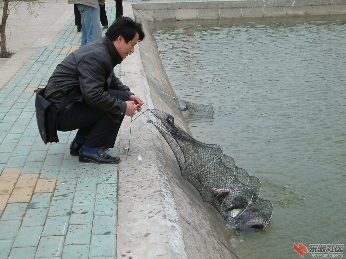 Dscf0216.jpg