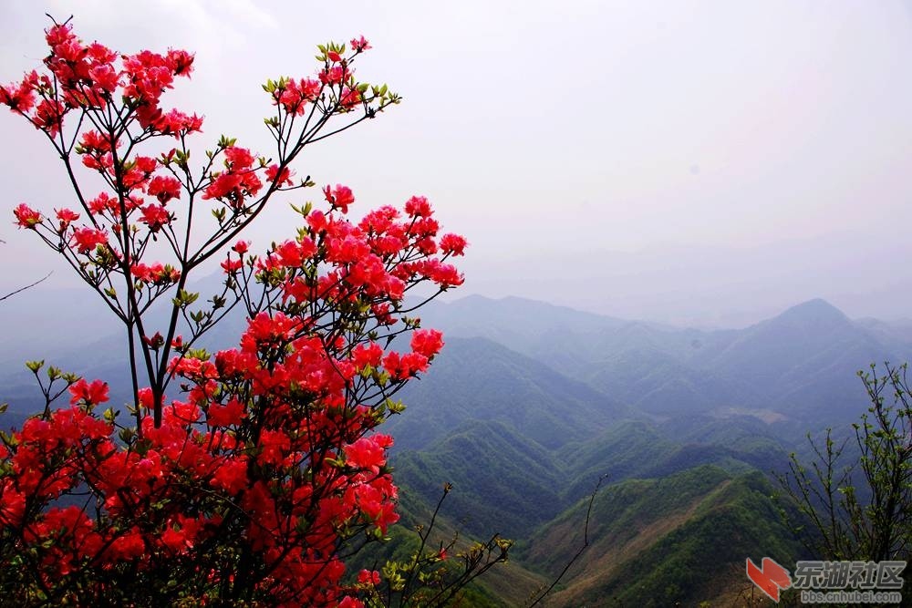 IMGP3962_副本.jpg