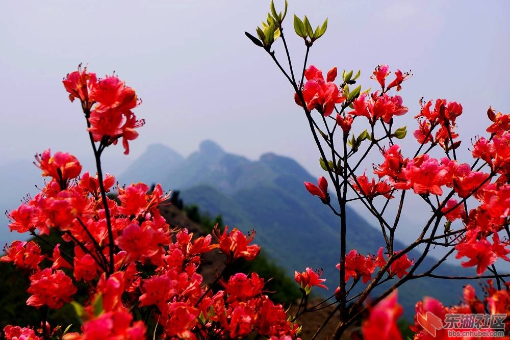 IMGP3983_副本.jpg