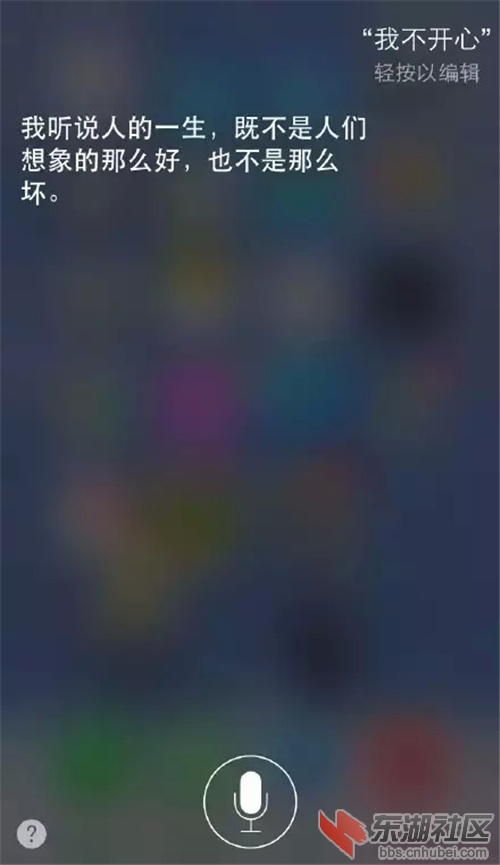 5.webp.jpg