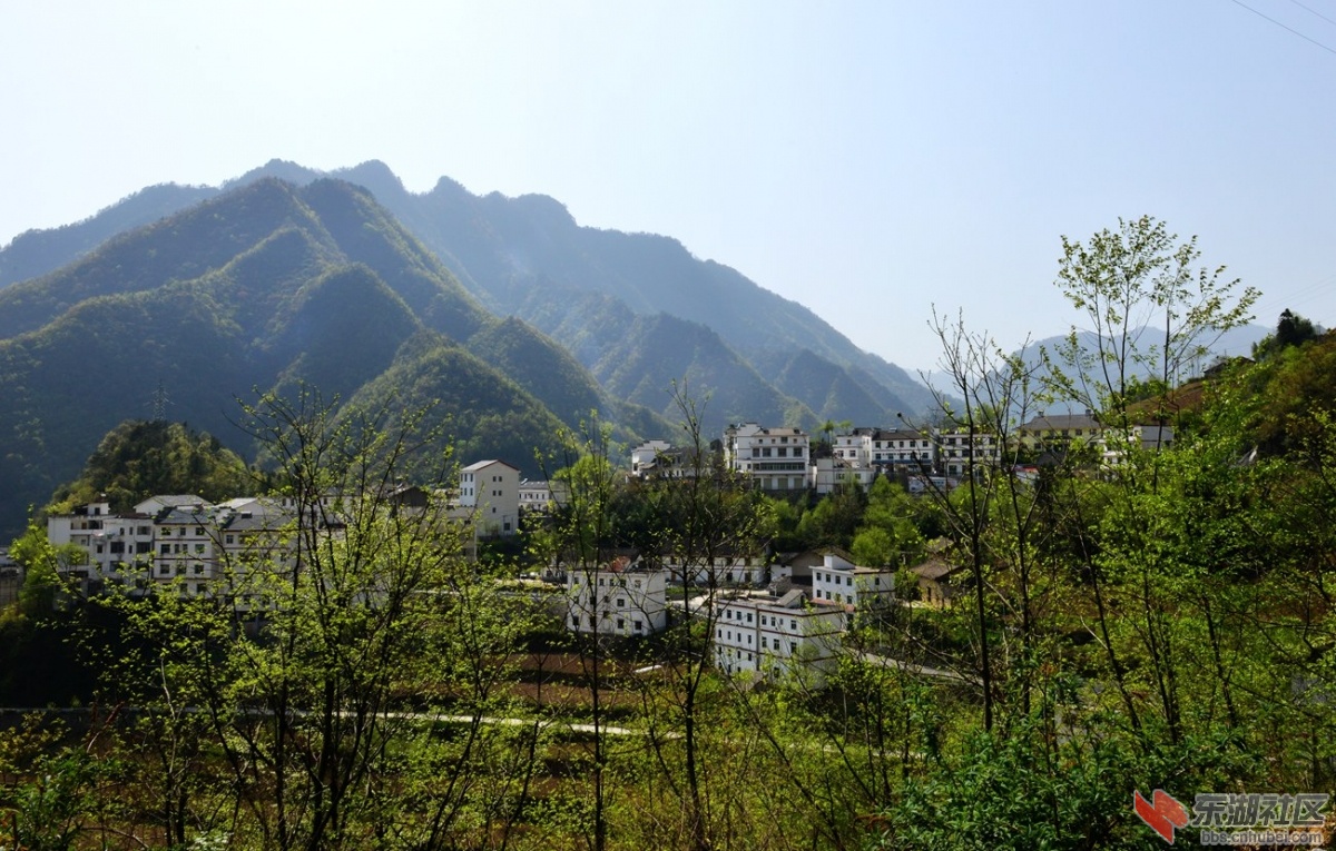 DSC_2867_副本.jpg