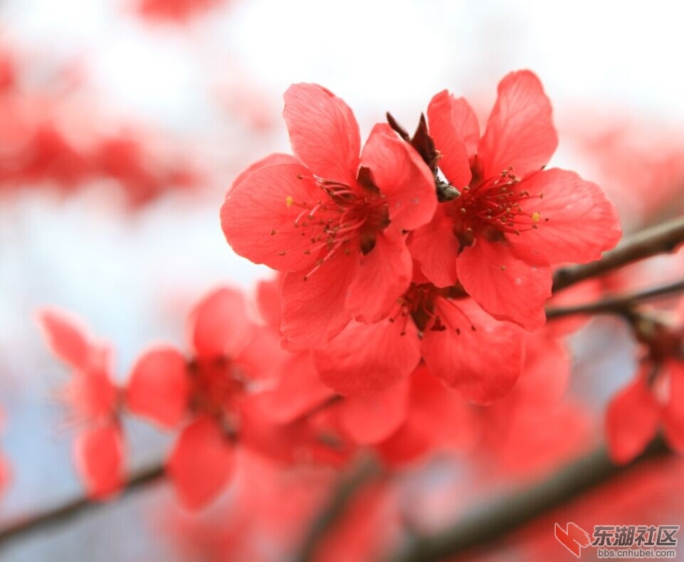 QQ图片20150409002010.jpg