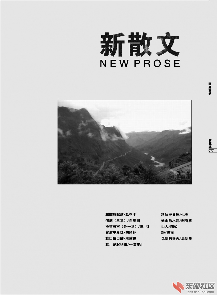 网络文学2015-1_0077.JPG
