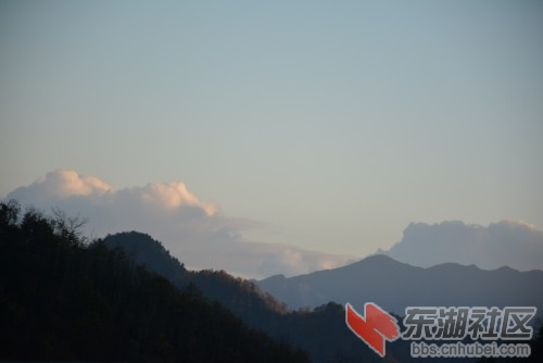 DSC_2742_conew1.jpg