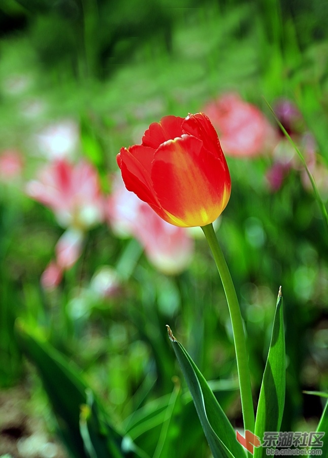 IMG_5798_副本.jpg