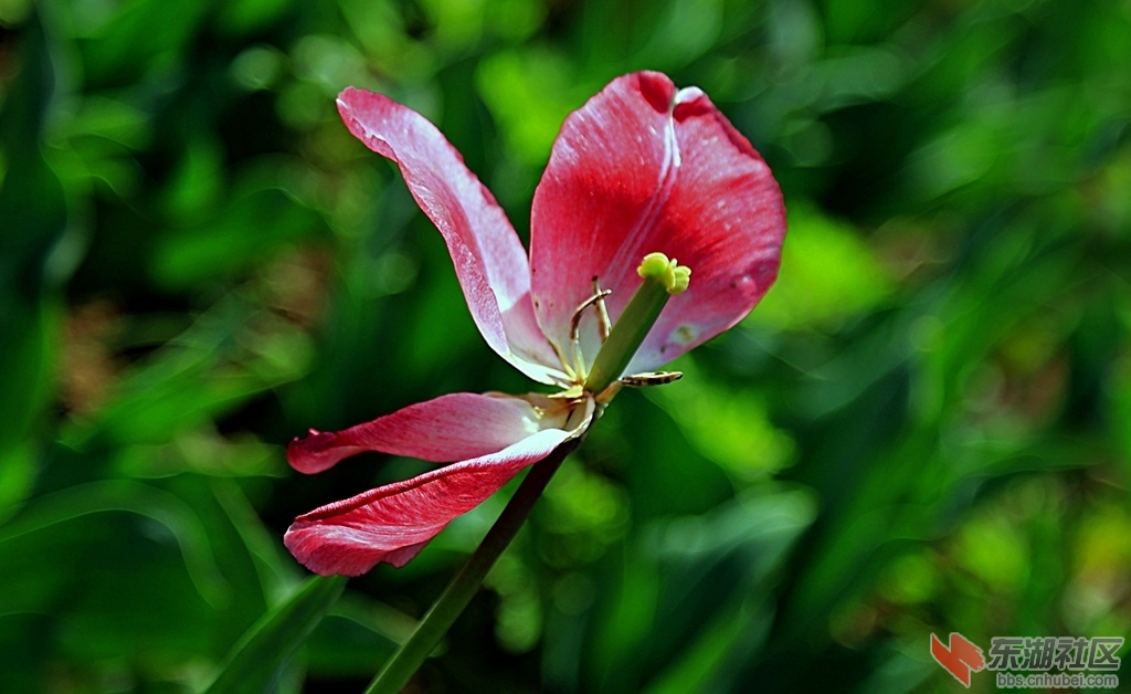 IMG_5807_副本.jpg