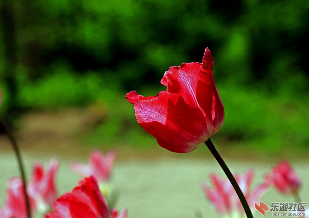 IMG_5788_副本.jpg