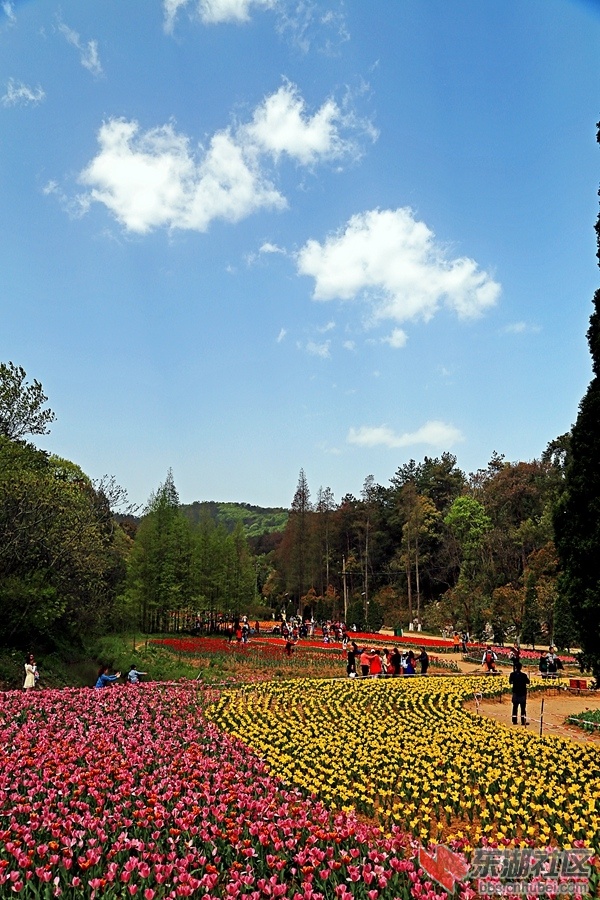 IMG_5829_副本.jpg