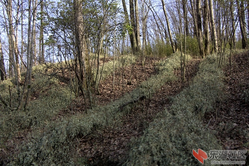 _MG_9620.JPG
