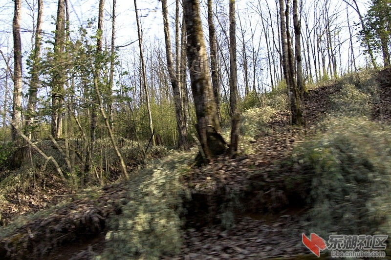 _MG_9623.JPG