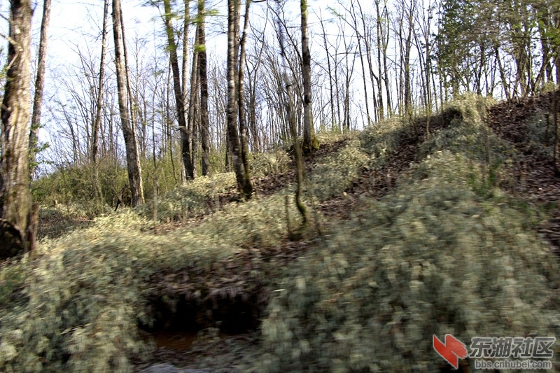 _MG_9622.JPG