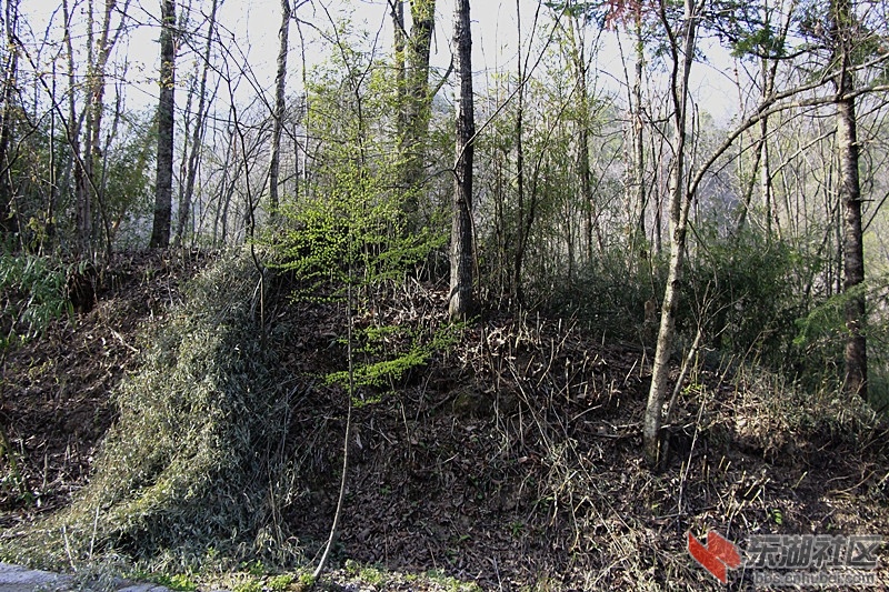 _MG_9628.JPG