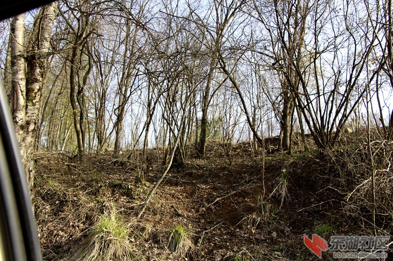 _MG_9638.JPG