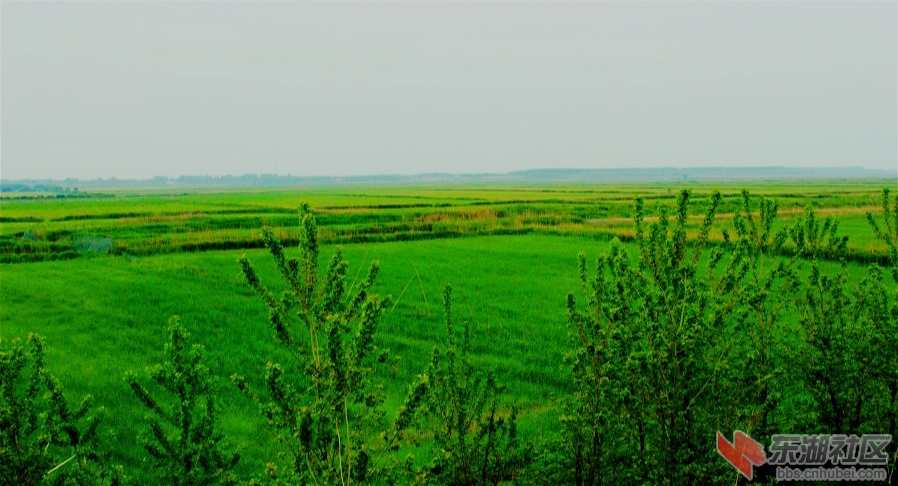 001ZERdqgy6RHirZhh22c&amp;690_meitu_1.jpg