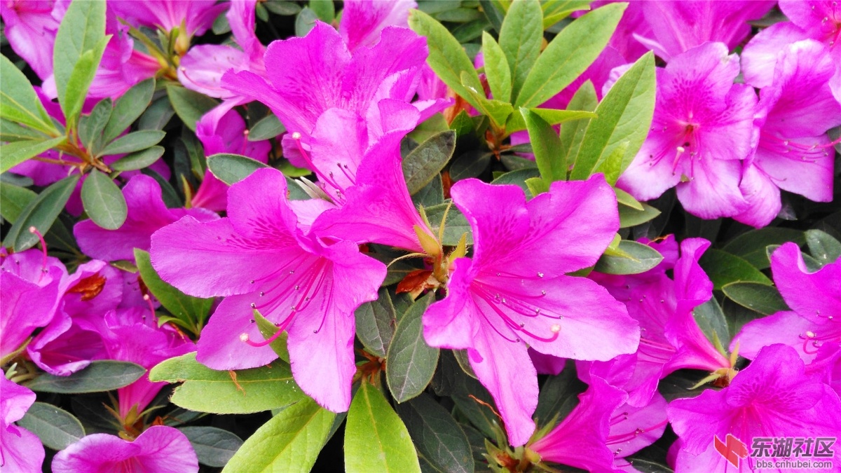 IMG_20150425_102658_BURST002_副本.jpg