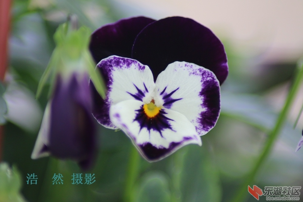 照片 021_副本.jpg