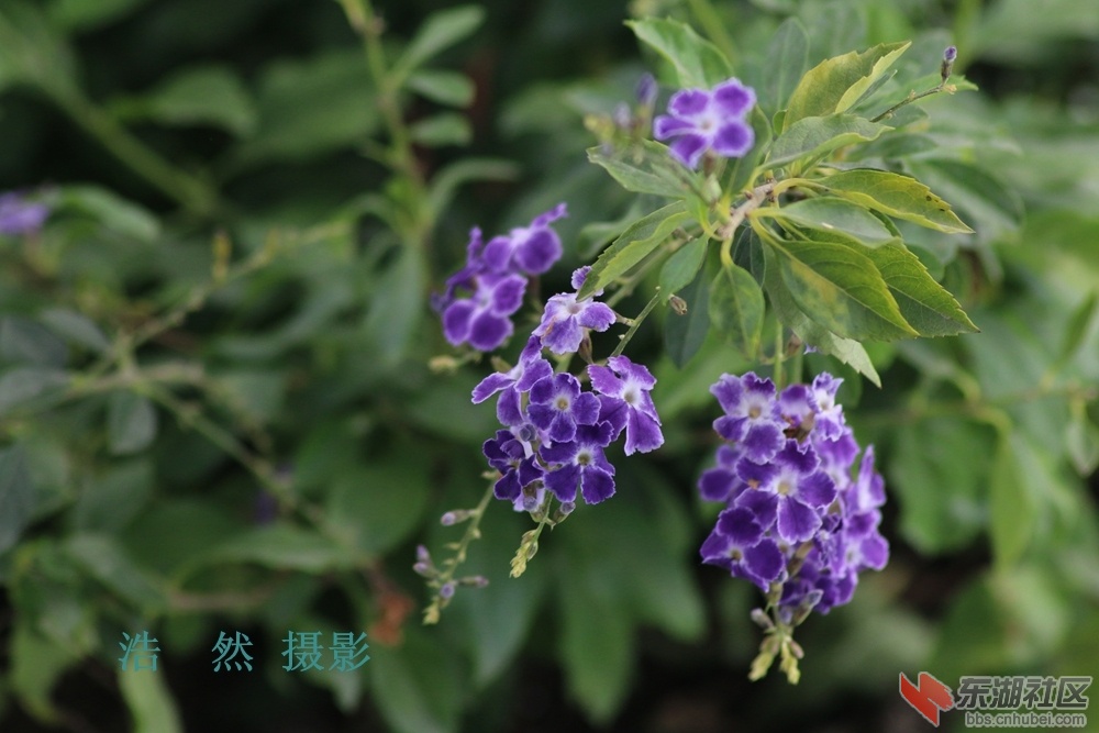 照片 062_副本.jpg