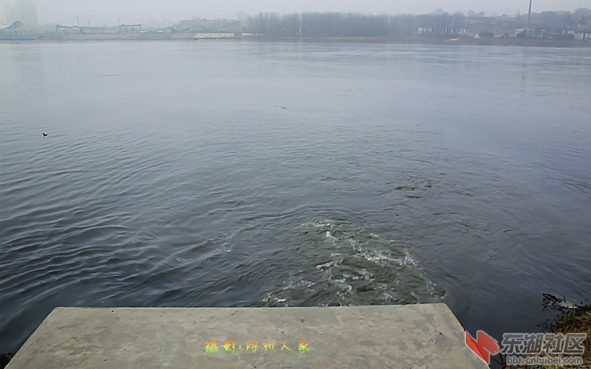 9582.jpg