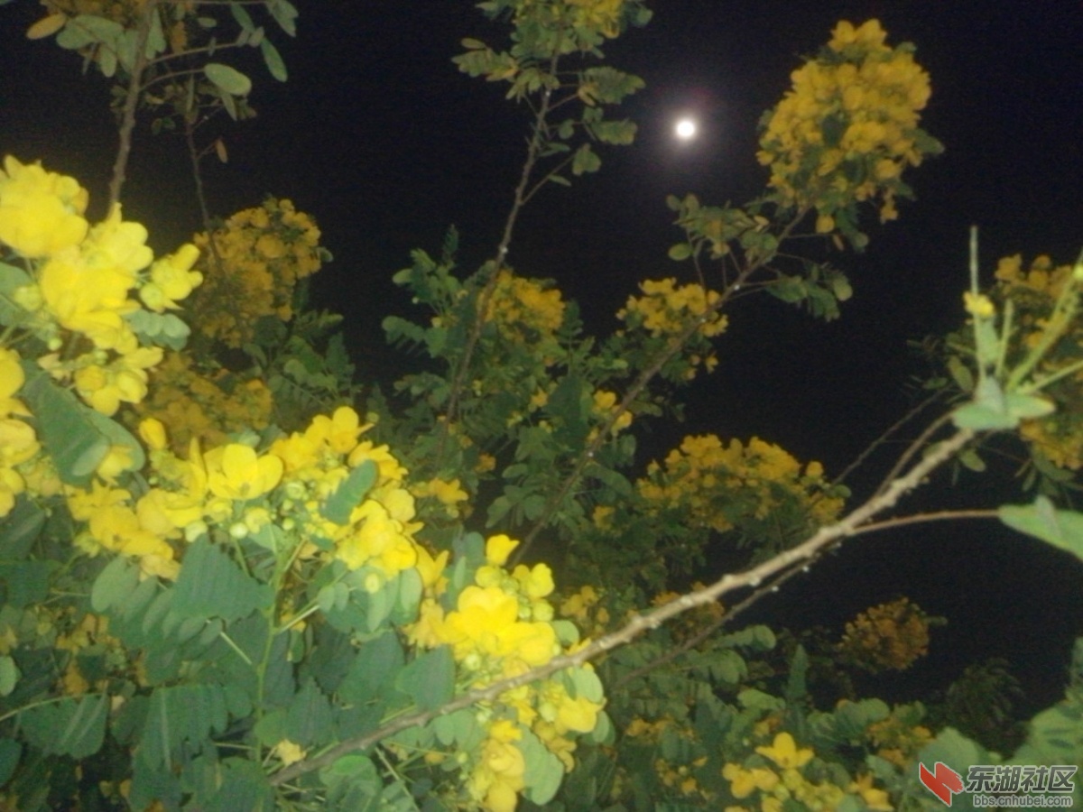 IMG_20150429_093917.jpg